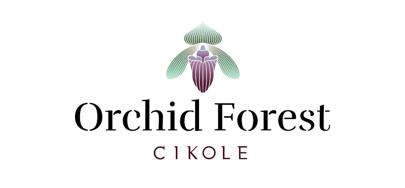Orchild Forest